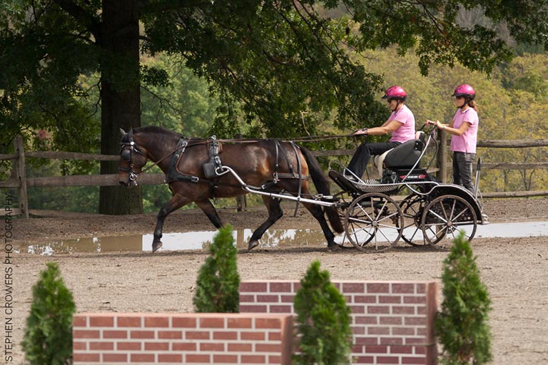 【太阳集团tyc】崔振赫服役在训练中受伤 入伍之前膝盖状态就不大好(图3) 太阳成集团tyc