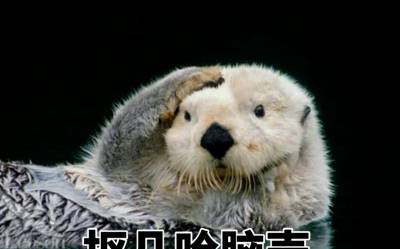 《哪吒重生》人物建模脸出圈 哪吒、敖丙撞脸顶流明星“太阳成集团tyc”(图4)
《哪吒重生》人物建模脸出圈 哪吒、敖丙撞脸顶流明星“太阳成集团tyc”(图4)