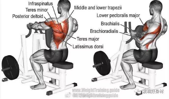 
20岁宁夏小伙练就一身肌肉,收获迷妹无数!_太阳成集团tyc(图27)