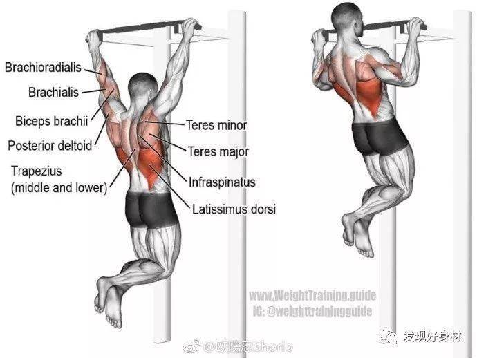 
20岁宁夏小伙练就一身肌肉,收获迷妹无数!_太阳成集团tyc(图29)