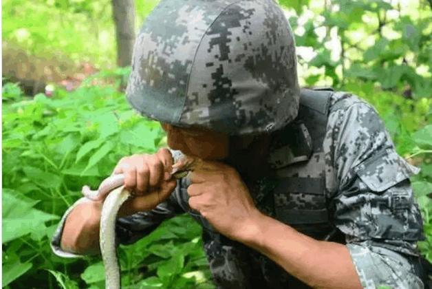 太阳成集团tyc_嘉熙确定已经怀孕3个月 11月将迎来与丈夫的第一个孩子(图2) 太阳成官网