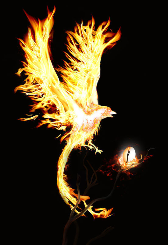 太阳成集团tyc|
金粉世家!盘货湖人退役球衣号码 超巨无缝衔接(图4) 太阳成官网