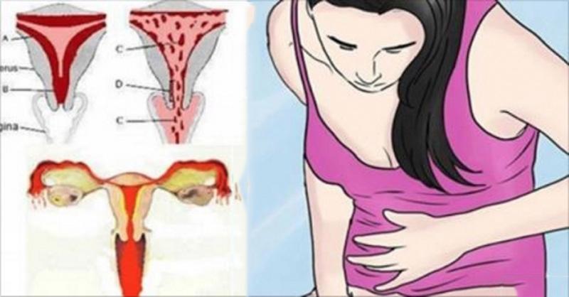 “太阳成官网”
举行论文查重时要提交真实信息吗?(图4) 太阳成官网