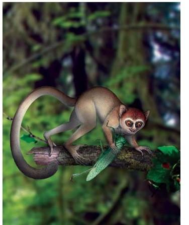 太阳集团tyc_浅谈新课程下高中思想政治教育面临的教学改革(图1) 太阳成官网