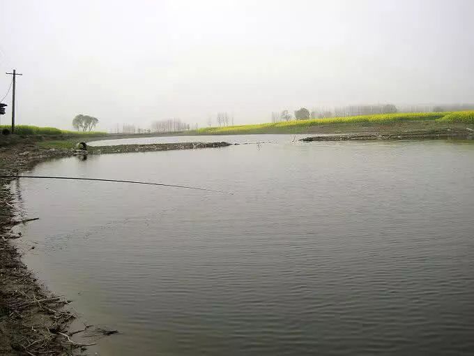 为啥说女明星的头很小?看清赵今麦赵丽颖生图 我瞬间明确了‘太阳成官网’(图6) 太阳成集团tyc