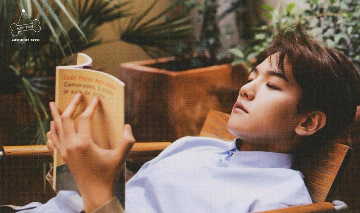 太阳成集团tyc|元谋县绿色蔬菜产业发展之路(图4) 太阳集团tyc