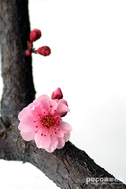 ‘太阳成集团tyc’
入选ESPN五十大历史巨星榜单的九位NBA现役球员(图2) 太阳成集团tyc